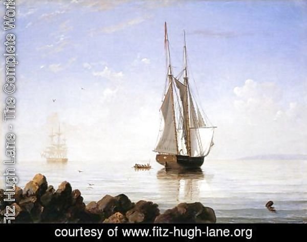 Fitz Hugh Lane - Sunny Morning, Gloucester Harbor