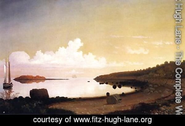 Fitz Hugh Lane - The Westen Shore with Norman's Woe